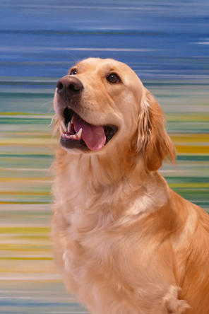 Kuba 296x444px